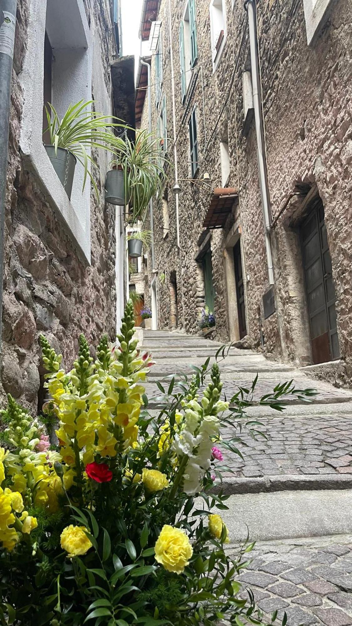 Le Bijou Di Dolceacqua, Per Un Momento Memorabile. Apartment Luaran gambar